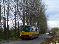 Ikarus 280.26 #5295