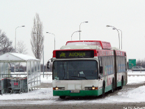 Neoplan N4021 CNG #805