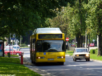 Neoplan N4021 CNG #803