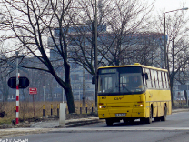 Ikarus 260.04 #102