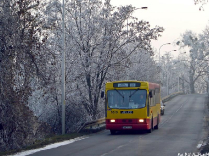 Autobusy 2007