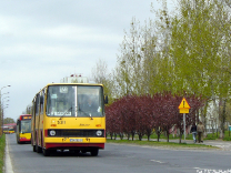 Ikarus 280.26 #5311