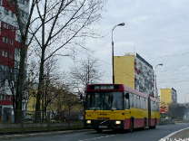 Jelcz M180 #8001