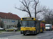 Jelcz M180 #8004