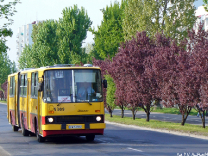 Ikarus 280.26 #5309