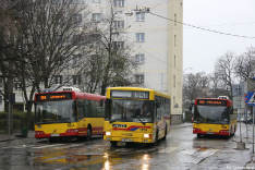 Jelcz M121MB #9559