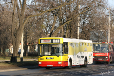 Jelcz M121M #9534