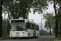 MAN SG242 #8603