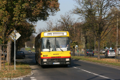 Jelcz M180 #8007