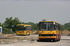 Jelcz M121M #9553 i Ikarus 280.26 #5293