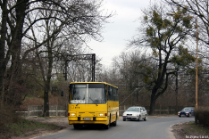 Ikarus 260.04 #111