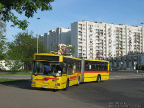 Autobusy 2011