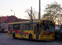 Jelcz M121M #9508