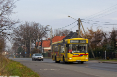 Jelcz M121M #9546