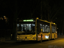 Mercedes-Benz O530G #1001