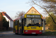 Jelcz M121M #9561