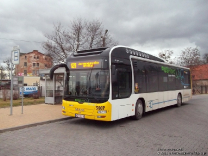 MAN NL253 Lion's City Hybrid #5007