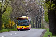 Mercedes-Benz O530 #7335