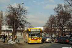 Jelcz M121MB #9559