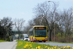 Mercedes-Benz O530 #7342