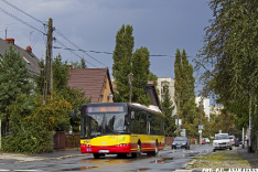 Solaris Urbino 12 #5428