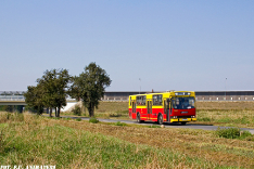 Jelcz 120MM/1 #9019