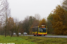 Mercedes-Benz O530 #7331