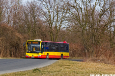 Mercedes-Benz O530 #7314