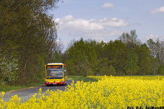 Mercedes-Benz O530 #7341