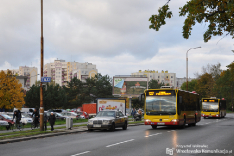 Mercedes-Benz O530 #7319
