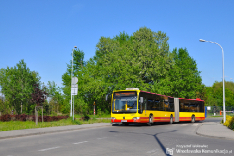 Mercedes-Benz O530G #8315