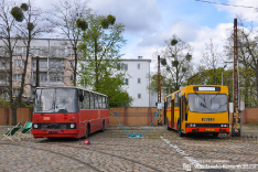 Ikarus 260.04 #3931 & Jelcz PR110M #5