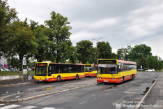 Volvo B10BLE6x2 #8034 & Mercedes-Benz O530 #7326