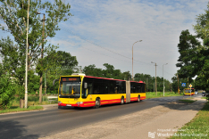 Mercedes-Benz O530G #8300