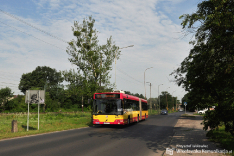 Volvo 7700A #8138