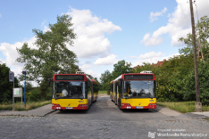 Volvo 7000A #8064 & #8091