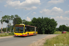 Mercedes-Benz O530G #8306