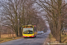 Mercedes-Benz O530 #7333