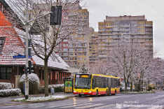 Mercedes-Benz O530G C2 #8445