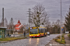 Mercedes-Benz O530G C2 #8458