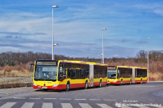 Mercedes-Benz O530G C2 #8461