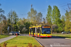 Mercedes-Benz O530G C2 #8473