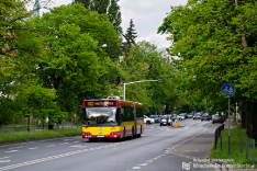 Volvo 7700A #8141