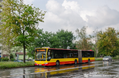 Mercedes-Benz O530G #8311