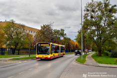 Mercedes-Benz O530G C2 #8520