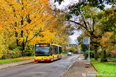 Mercedes-Benz O530G C2 #8479