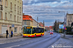 Autobusy 2020