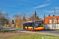 Solaris Urbino 12 #5431