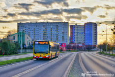 Mercedes-Benz O530G C2 #8424