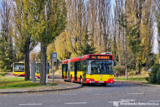 Volvo 7700A #8133